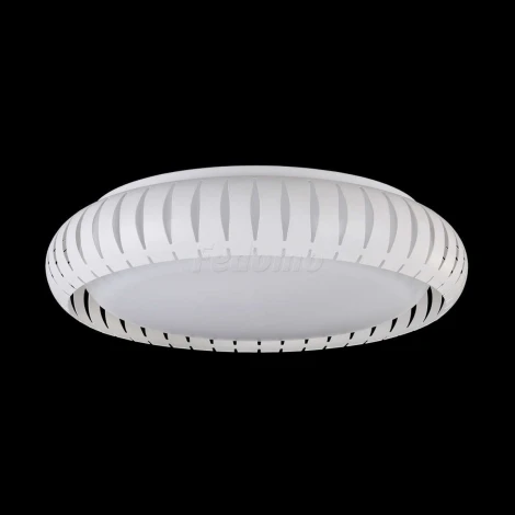 Потолочный светильник Freya Assanta FR6159-CL-24W-W