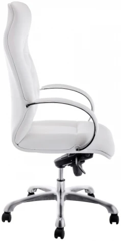Компьютерное кресло Woodville Osiris white / satin chrome 15425