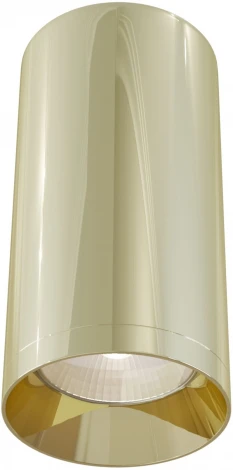 Накладной потолочный светильник Focus GU10 1x50Вт Maytoni Technical C010CL-01G (220V, круглые)