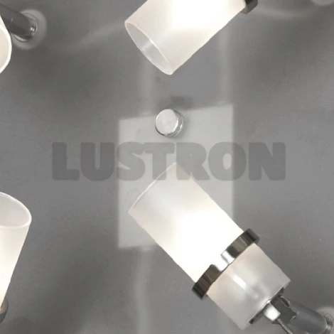 Настенно-потолочный светильник Lussole Piemonte LSL-5801-04