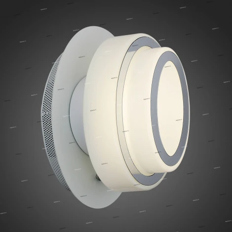 Настенно-потолочный светильник ST Luce Ovale SL546.501.01