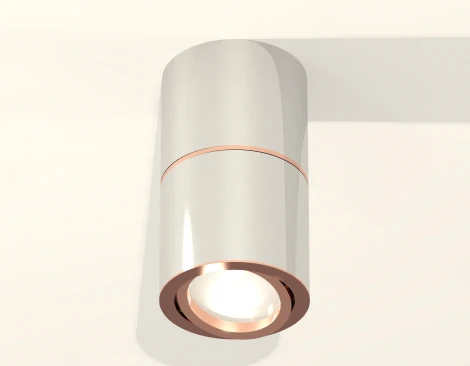 Накладной точечный светильник Ambrella Techno Spot XS7405080 (220V, круглые)