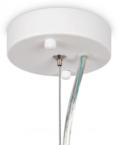 Люстра подвесная Florencia FR5049PL-27W (220V, на тросе, лепестки)