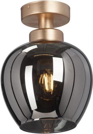 Потолочный светильник круглый Vitaluce V3034-8/1PL, 1xE27 макс. 40Вт (220V)