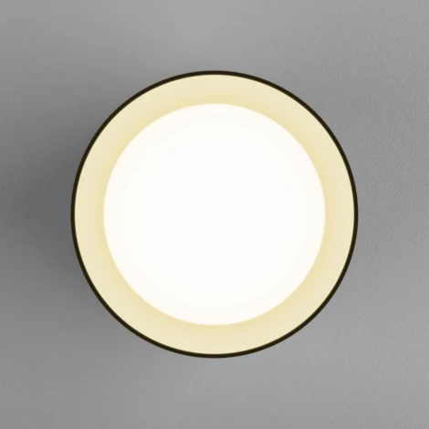 Накладной точечный светильник Elektrostandard Topper DLR021 9W 4200K Черный жемчуг (LED, 220V, круглые)