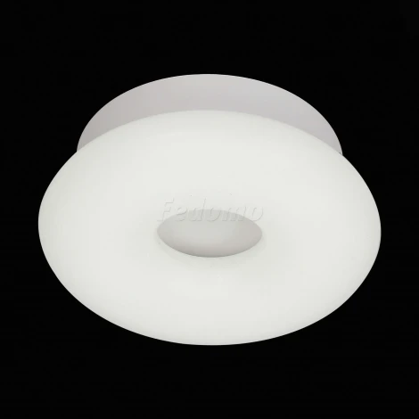 Потолочный светильник ST Luce Albo SL902.052.01D