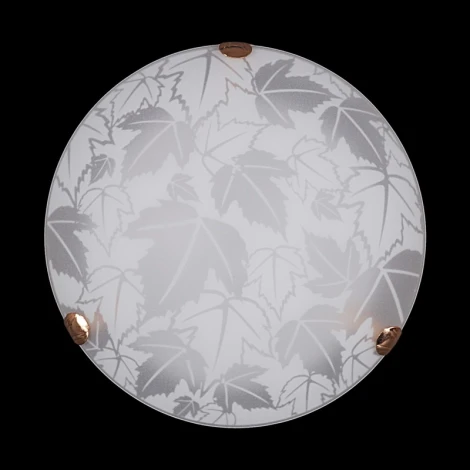 Настенно-потолочный светильник Sneha Листопад мат (300) НПБ 01-2х60-001 (220V, круглые)