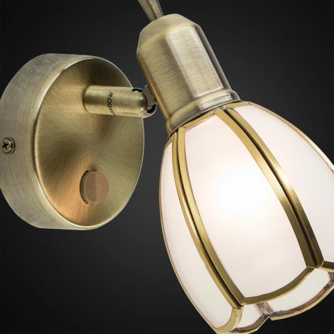 Спот Citilux Альтен-2 CL522611