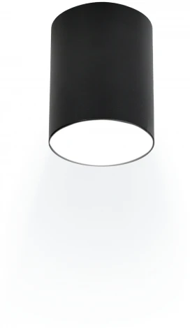 Накладной светильник Ritter Arton 59977 7