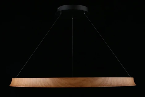 Подвесной светильник Aployt Justyna APL.787.03.75 (LED, 220V, на проводе, кольцо)