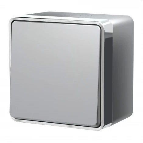 Выключатель одноклавишный влагозащищенный Gallant (серебряный) Werkel W5010206 (a052767)