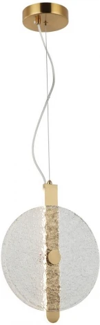 Подвесной светильник Aployt Lorentayn APL.328.06.09 (LED, 220V, на тросе, круглые)