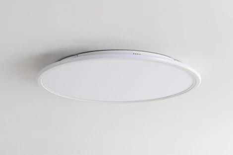 Потолочный светильник круглый с пультом Zortes Galo ZRS.10112.13 (LED, 220V, круглые)