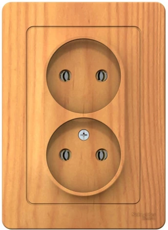 Розетка встраиваемая двойная без заземления (ясень) Systeme Electric Blanca BLNRS000025