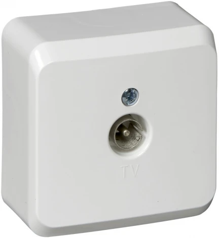 ТВ-розетка накладная оконечная (белый) Systeme Electric Etude TVA-002b