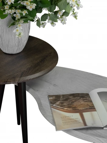 Стол журнальный BeautyStyle 19 дуб дымчатый/венге от фабрики Mebelik