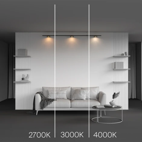 Трековый светильник магнитный 12W 24V Maytoni Zon TR189-1-12W4K-BBS (LED, круглые)