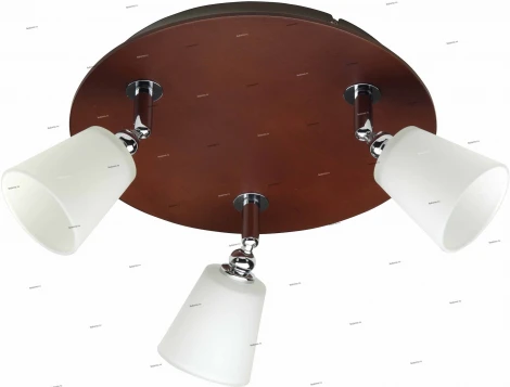 Спот Brilliant Clara G10634/76
