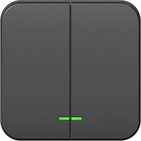 Выключатель накладной двухклавишный с подсветкой (антрацит) Systeme Electric Blanca BLNVA105116