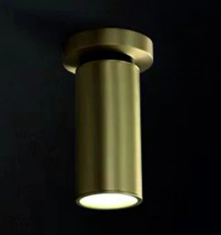 Спот iLamp Plum 8861C BR-BK (220V)