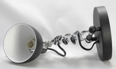 Бра на гибкой ножке для чтения Lussole Loft Koyukuk GRLSP-8049 (220V, IP21)