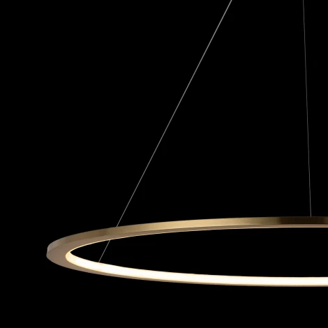 Подвесной светильник Loft IT Ring 10014XL (LED, 220V, на тросе, кольцо)
