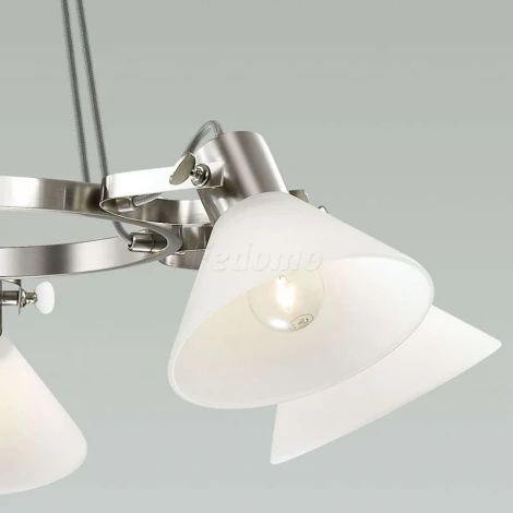 Подвесная люстра Lumion Effi 3707/5