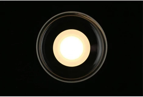 Настенный светильник LED Aployt Eloiza APL.341.11.06 (220V, круглые)