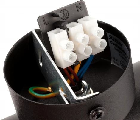 Настенный светильник Ritter Arton 59958 6