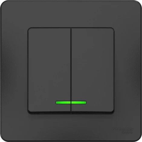Выключатель встраиваемый двухклавишный с подсветкой (антрацит) Systeme Electric Blanca BLNVS010516