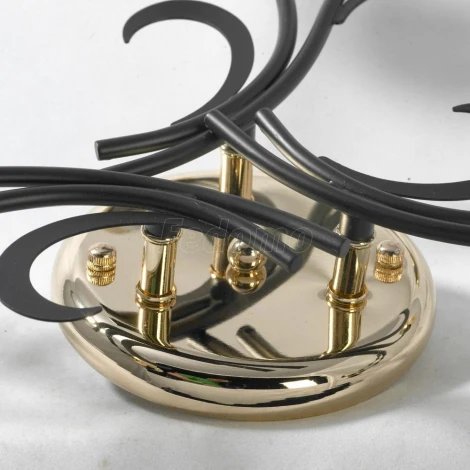 Потолочная люстра Lussole Lgo Oakland GRLSP-9952