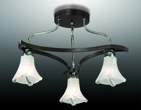 Потолочная люстра Odeon Light Iwo 2237/3C