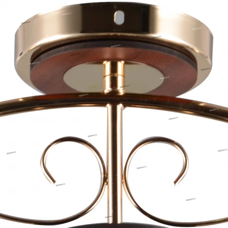 Потолочная люстра J-Light Eva 1504/3C