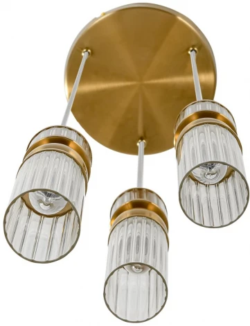 Подвесной светильник Lumion Denver 8276/3A латунь/прозрачный, металл/стекло Е14 3*40W 220V (на проводе)