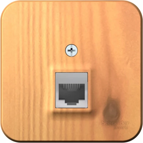 Розетка накладная Ethernet RJ-45 (ясень) Systeme Electric Blanca BLNIA045005