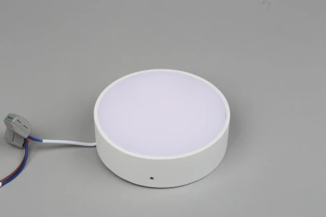 Потолочный светильник круглый Aployt Evon APL.0113.09.12 (LED, 220V, круглые)