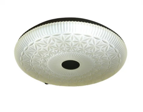 Настенно-потолочный светильник Мелодия Света CW1L 000022034