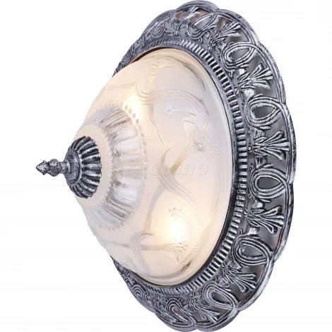 Потолочный светильник Arte Lamp Piatti A8001PL-2SB