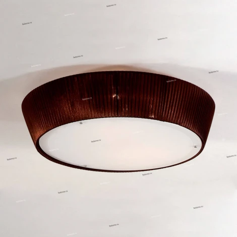 Потолочный светильник Citilux 913 CL913142