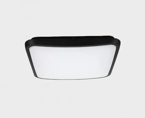 Потолочный светильник уличный светодиодный Italline IT6012