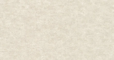 Обои виниловые Grandeco ATESSA A49503 10,05 x 1,06 м