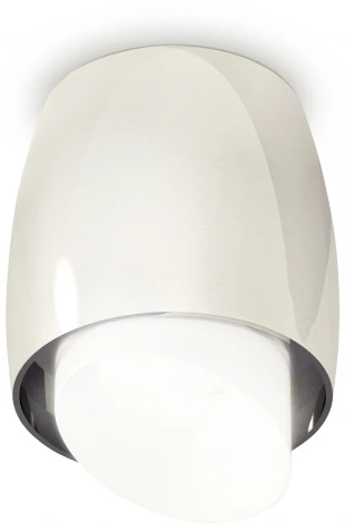 Накладной точечный светильник Ambrella Techno Spot XS1143021 (220V, круглые)