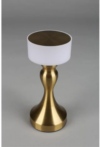 Настольная лампа светодиодная Omnilux OML-40304-01 (220V)