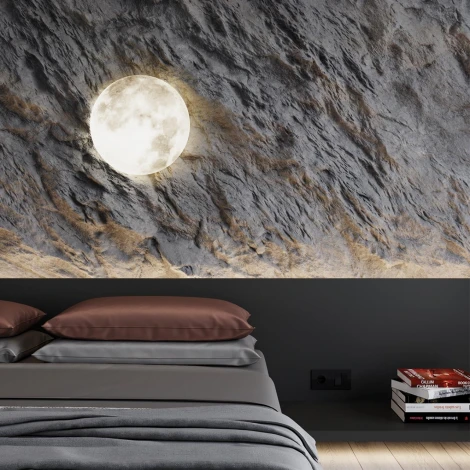 Настенно-потолочный светильник Moon 3084/EL (регулировка яркости, LED, 220V, пульт управления, круглые, луна, IP43)