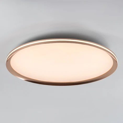 Потолочный светильник светодиодный с пультом с регулировкой цветовой температуры LED4U LED4U L3020-600 GD