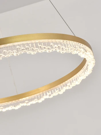 Подвесной светильник светодиодный Natali Kovaltseva Day LED LAMPS 81486 (регулировка яркости, 220V, пульт управления, на тросе, кольцо)