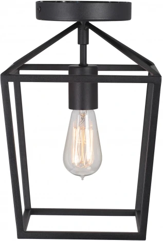 Потолочный светильник V3766-1/1PL Vitaluce (220V)