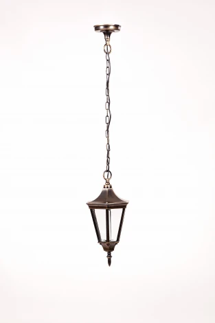 Уличный светильник подвесной Oasis Light Leeds 91605