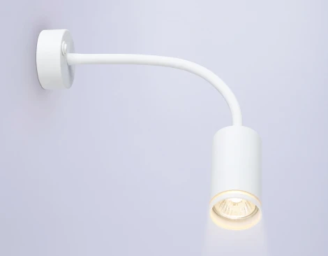 Настенно-потолочный светильник с выключателем Ambrella WALLERS FW2469 (220V)