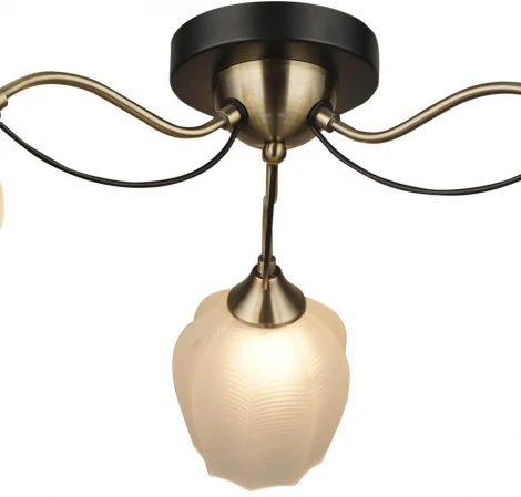 Потолочная люстра Wedo Light Bardi 66658.01.37.03